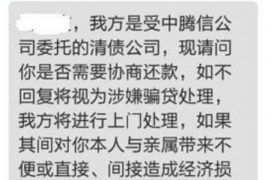 信阳为什么选择专业追讨公司来处理您的债务纠纷？